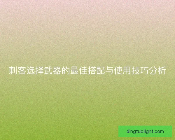 刺客选择武器的最佳搭配与使用技巧分析