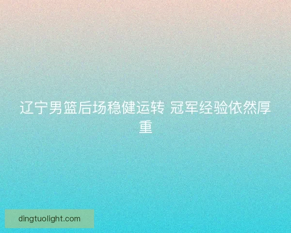 辽宁男篮后场稳健运转 冠军经验依然厚重
